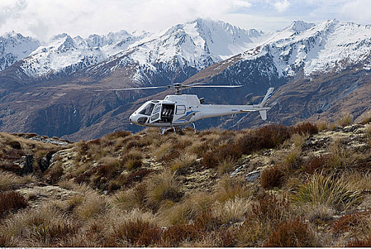 直升飞机,山顶,南岛,新西兰