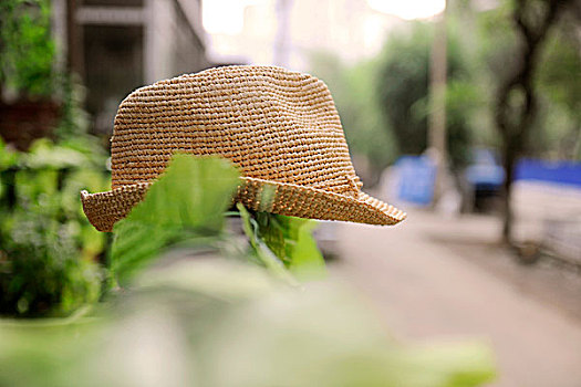 夏日太阳帽