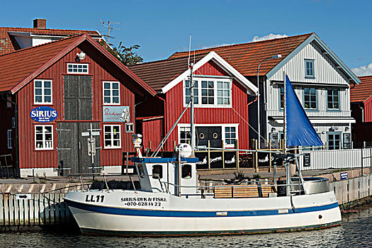 港口,捕鱼,船,瑞典,欧洲