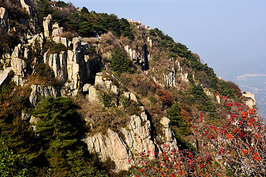 山东省泰安市泰山