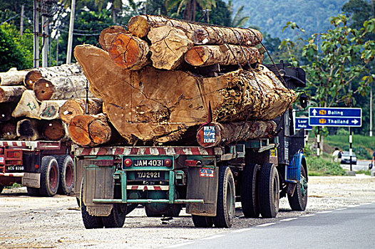 马来西亚,木料,运输
