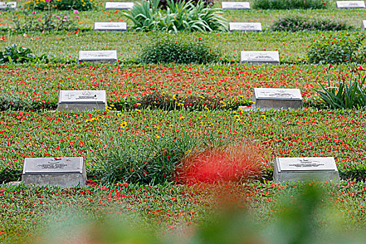 世界,战争,墓地,墓穴,军人,缅甸,正面,第二次世界大战,孟加拉,四月,2009年