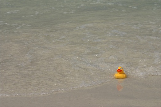 橡皮鸭,海浪,面对
