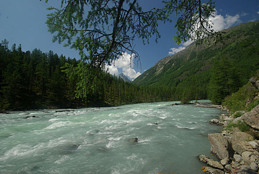 山,河,水流,峡谷,石头,岩石,陆地,靠近,漂亮,山景