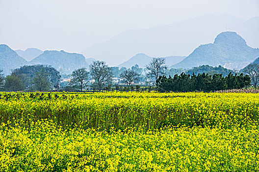 田园春色