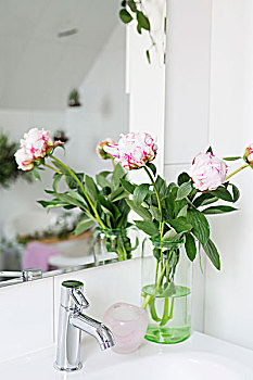 双色,牡丹,玻璃花瓶,水槽,反射,镜子