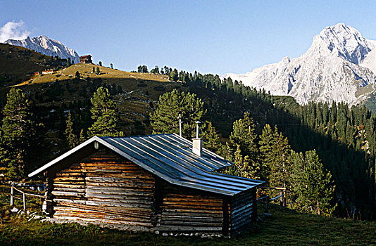 木房子,光泽,金属,屋顶,栖息,正面,全景,山,景色,巴伐利亚