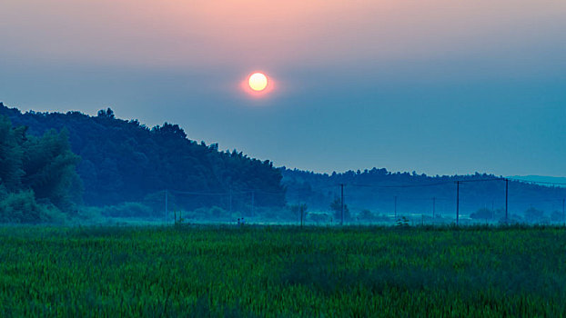 乡村,田野,夜空