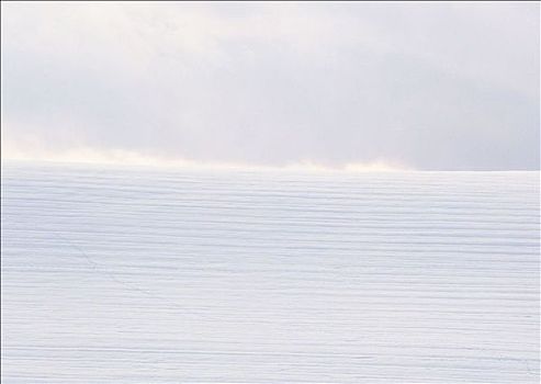 雪地