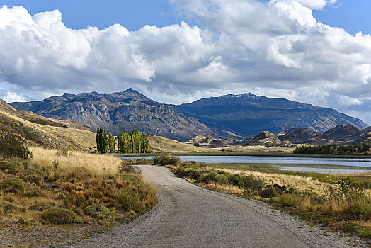 公路,靠近,国家级保护区,区域,巴塔哥尼亚,智利,南美