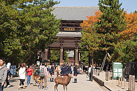 靠近,东大寺,奈良,日本