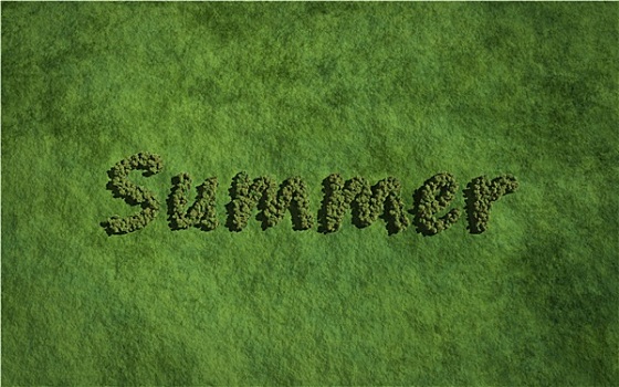 夏天,文字,树,草,背景