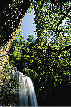银色瀑布州立公园,俄勒冈,美国
