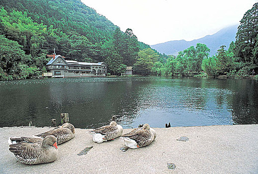 九州大分自然风光