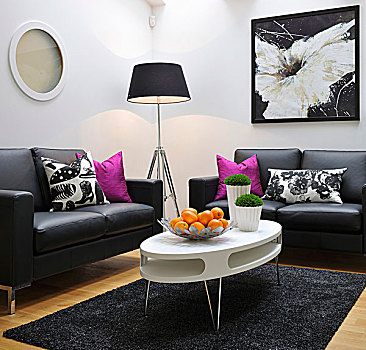 休闲沙发,区域,白色,椭圆,复古,桌子,简单,黑色,皮革,沙发