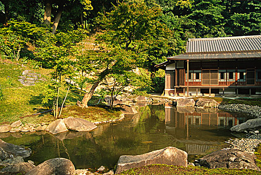 日本,镰仓,庙宇,花园