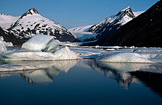 波蒂奇,冰河,阿拉斯加,美国