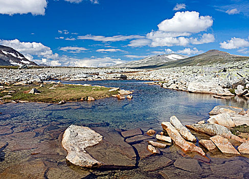 溪流,国家公园,诺尔兰郡,挪威,斯堪的纳维亚,欧洲