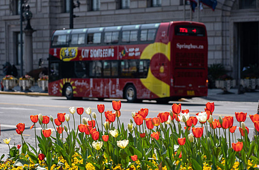 上海旅游观光巴士和鲜花
