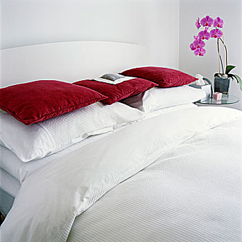 紫色,兰花,角,靠近,白色,床,紫红色,枕头