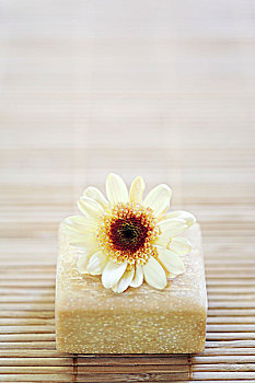 菊花,花,肥皂块