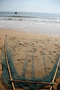 海上丰收节,游客拉上来百米长渔网,看看有啥收获