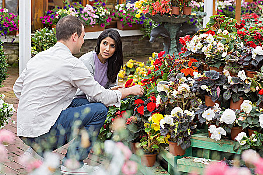 情侣,讨论,花,买,花卉商店