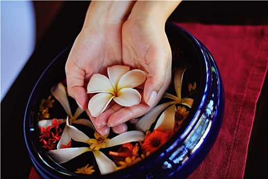 女性,手,花,水中