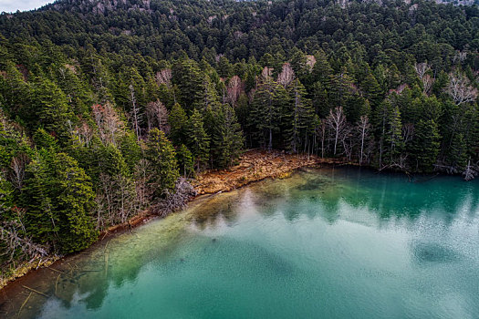 航拍,湖,北海道,日本