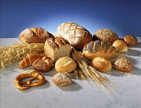 种类,面包,谷穗