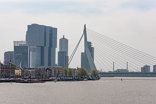 荷兰鹿特丹的桥和高楼大厦