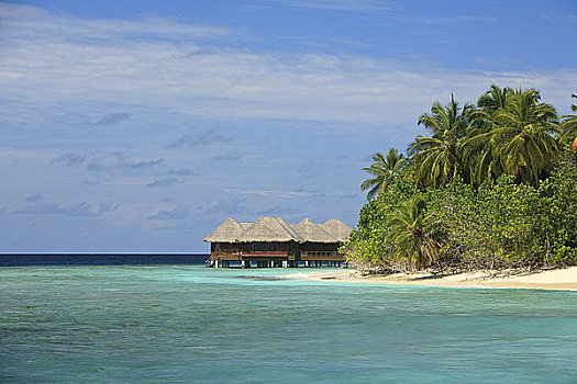 旅游胜地,海滩,岛屿,北方,马累环礁,马尔代夫