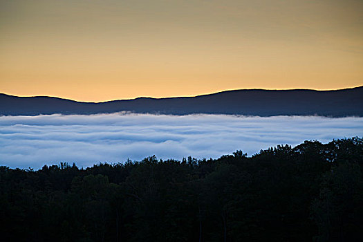 美国,佛蒙特州,早晨,日出,雾,山谷
