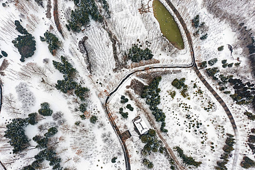 河南三门峡,国家湿地公园雪后美景如画