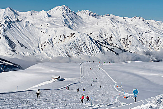 滑雪,滑雪板玩家,滑雪道,高处,圣马丁,晴朗,早晨,新,雪