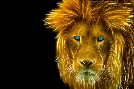 金色,头像,狮子