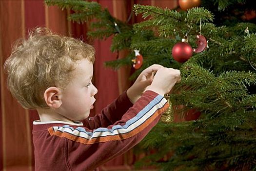 小男孩,装饰,圣诞树