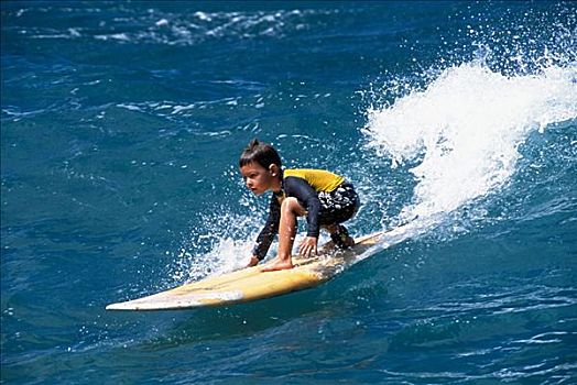 夏威夷,瓦胡岛,男孩,黄色,冲浪,冲浪板