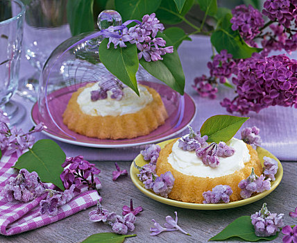丁香花,花,小糕饼,玻璃
