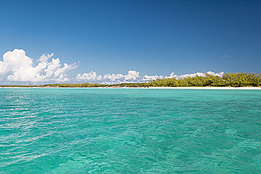 度假,旅行,背景,概念,蓝色海洋,海洋,海滩,树林