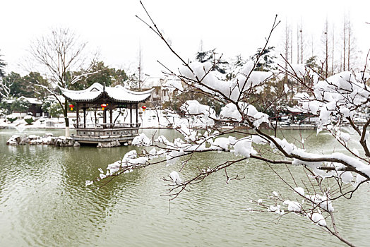 南京愚园雪景