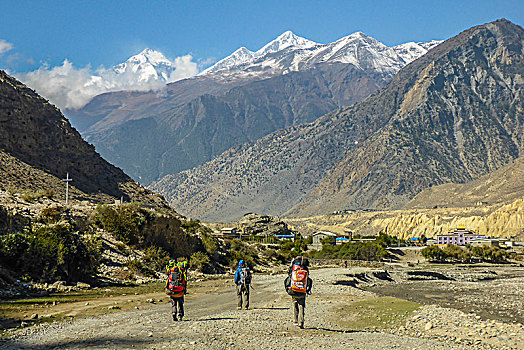 尼泊尔,喜马拉雅山,山,地区,安纳普尔纳峰,电路,跋涉,山谷,旅游