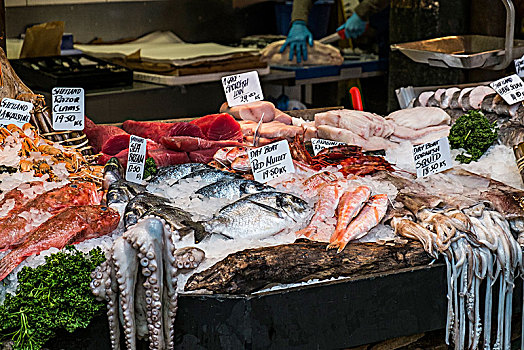 展示,多样,鱼肉,出售,室内,博罗市场,伦敦
