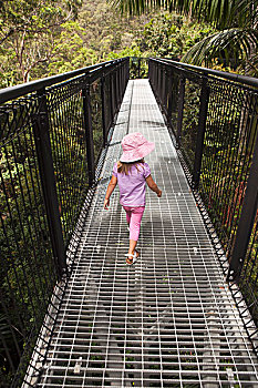 女孩,走,雨林,天桥,国家公园,黄金海岸,腹地,昆士兰,澳大利亚