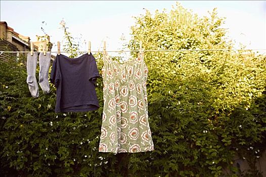 晾衣服,花园