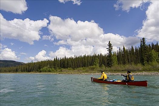 独木舟浆手,30多岁,英里,河,育空河,育空地区,加拿大,北美