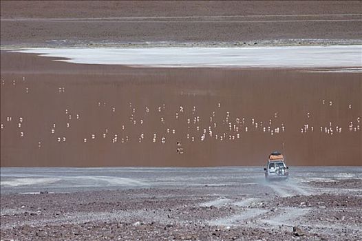 吉普车,沙子,高原,玻利维亚,南美