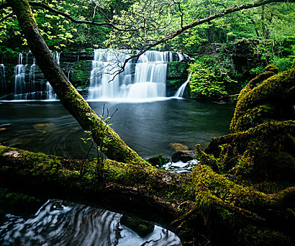 瀑布,乡野,布雷肯灯塔国家公园,波厄斯郡,威尔士,英国