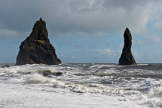海浪,海鸥,火山岩,海滩,顶峰,靠近,南海岸,冰岛,欧洲
