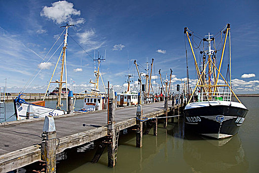 渔船,港口,岛屿,丹麦,欧洲